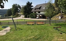 Ferienhaus Robin